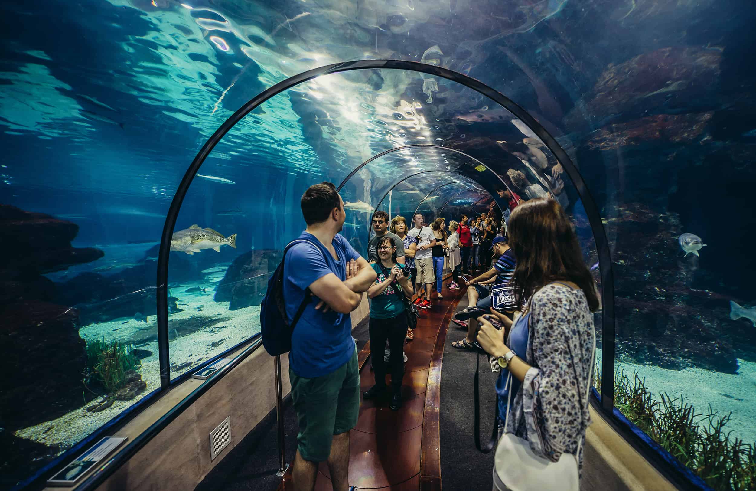 Aquarium barcelone avis