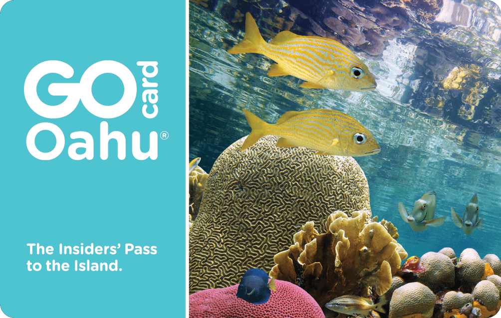 Hawaii Tourist Pass Tourist Pass