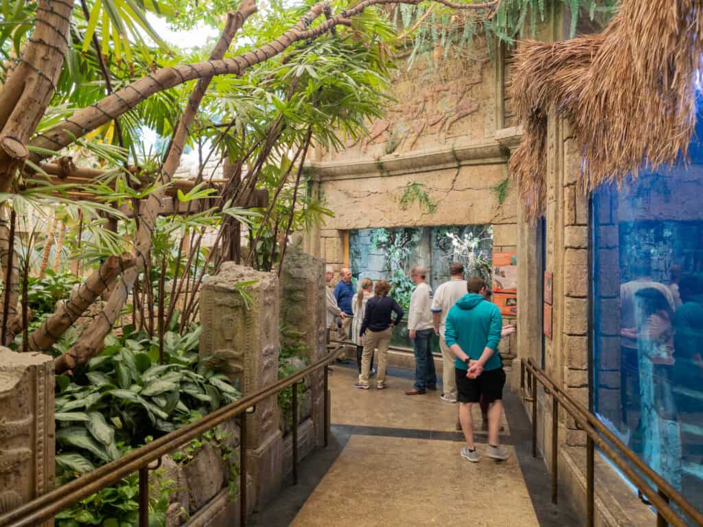 Shark Reef Aquarium at Mandalay Bay Tourist Pass